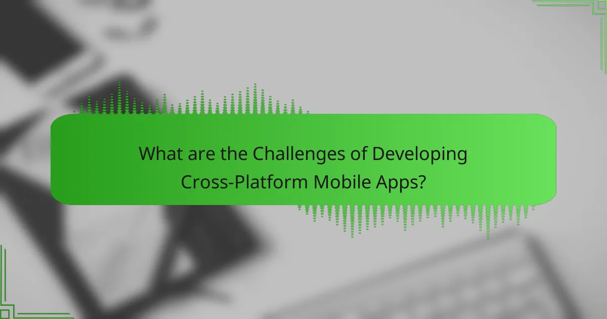 What are the Challenges of Developing Cross-Platform Mobile Apps?