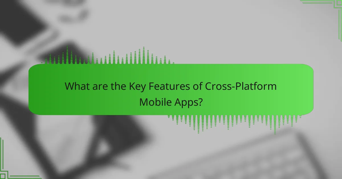 Key Features of Cross-Platform Mobile Apps: Performance, User Experience, and Compatibility