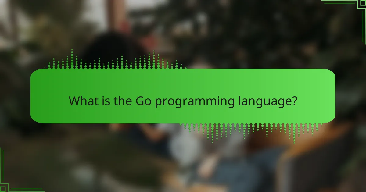 What is the Go programming language?