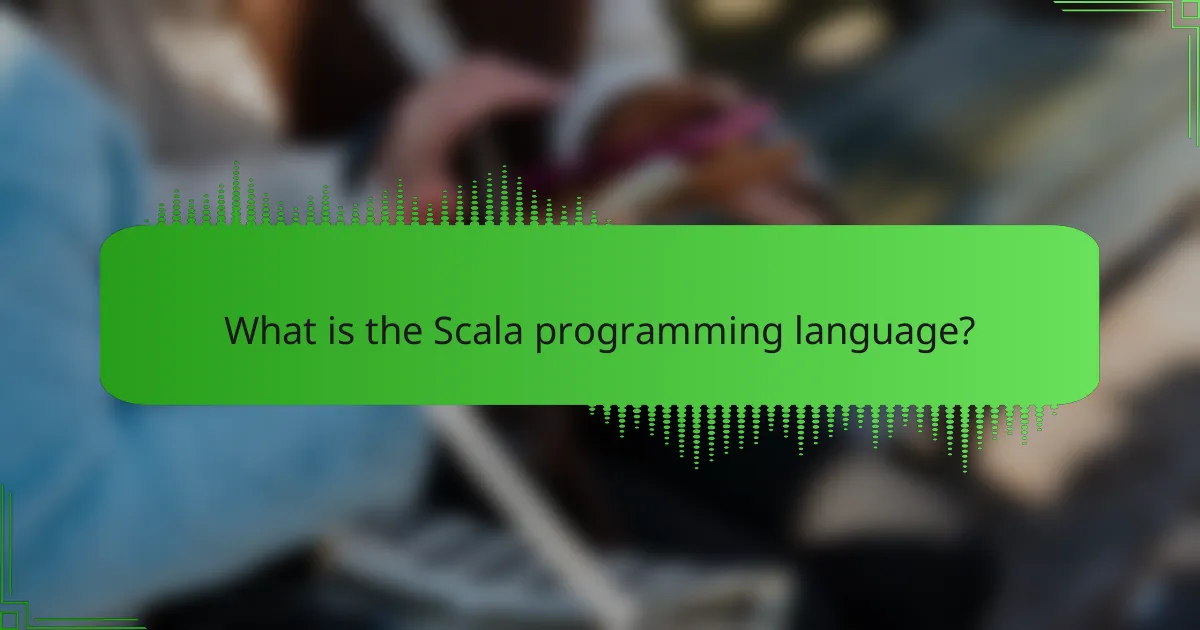 What is the Scala programming language?